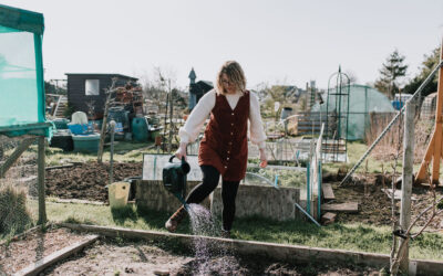 Blog: On the allotment in March